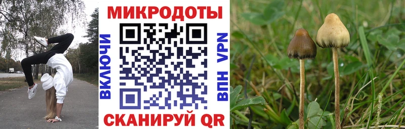Галлюциногенные грибы Cubensis  Купить где  Поворино 